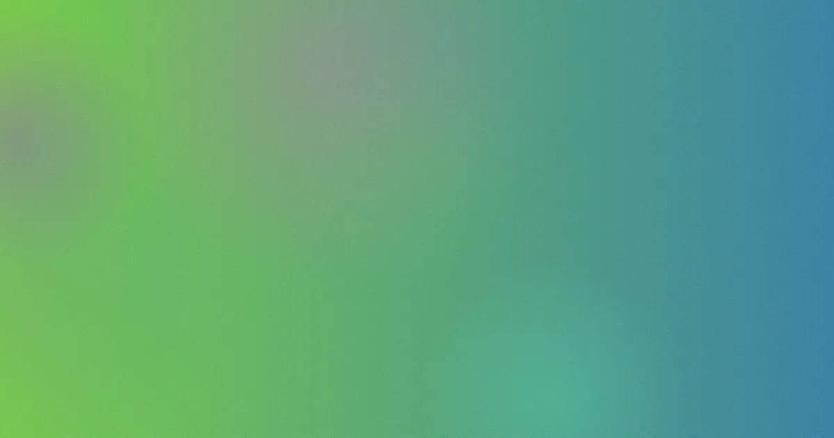 日本午夜电影测评：新观众避坑问答